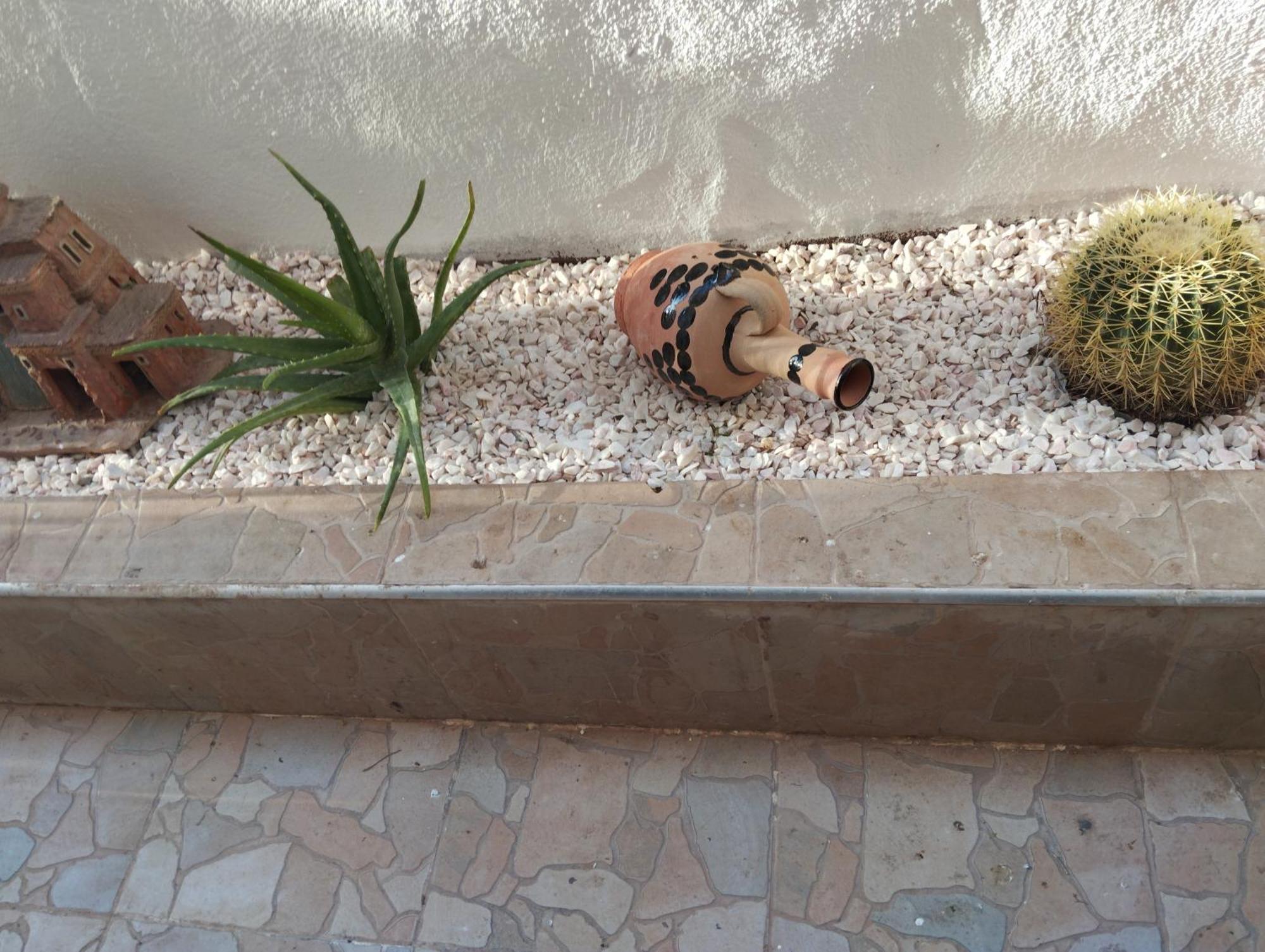Rico,S House Villa Agadir Eksteriør billede